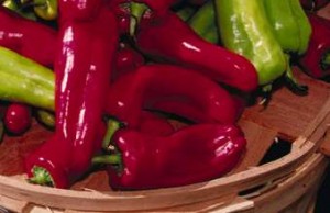 20091026_chili_peppers Chili Peppers